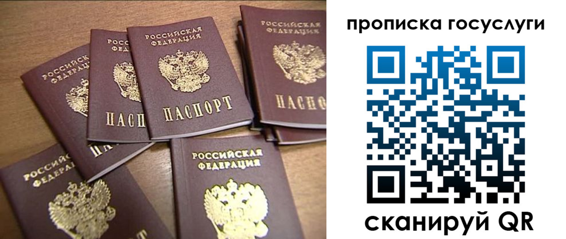 прописка ребенка в Люберцах